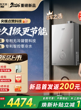 【1级能效新品】AO史密斯佳尼特无冷凝管16L精钢燃气热水器TJE5