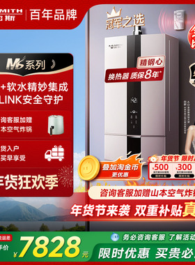 [老爸测评同款]AO史密斯MS系列燃气精钢热水器软水美容智能RSCD
