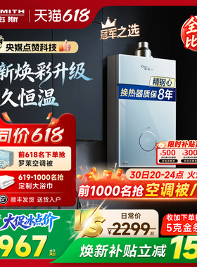 【小精钢TCS5】AO史密斯佳尼特耐用恒温安静燃气热水器TCA1/PC0