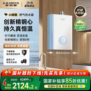 TCA1恒温13 AO史密斯佳尼特精钢燃气热水器TC1 16升 升级不升价