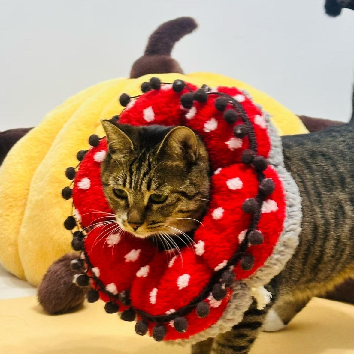 怪奇物语菊花怪伊丽莎白头套 毛茸茸猫咪头套食人花COS头套