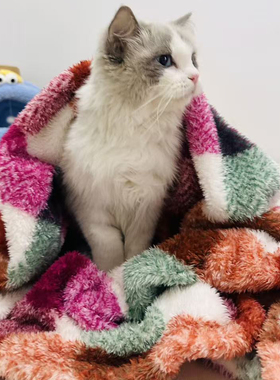 彩色条纹毛绒毯过年喜庆宠物毯子保暖宠物用品毛茸茸多色格子毯