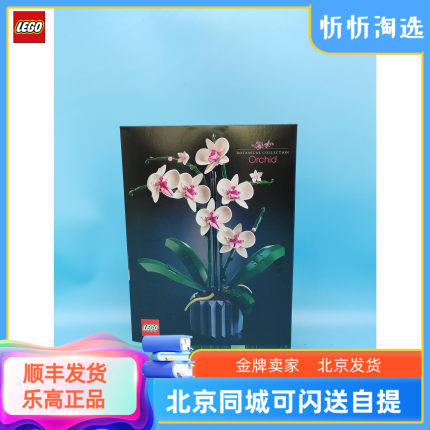 乐高LEGO创意IDEAS系列10311 兰花 绿色植物盆景女孩拼装积木玩具