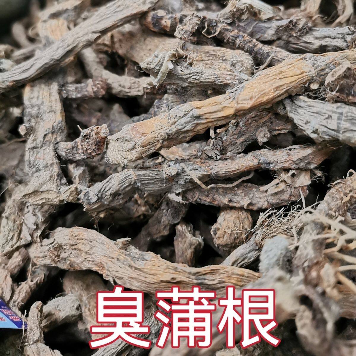 野生菖蒲干货水菖蒲老根泥臭蒲草根新鲜水菖蒲草根水剑草水菖蒲