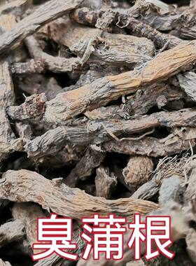 野生菖蒲干货水菖蒲老根泥臭蒲草根新鲜水菖蒲草根水剑草水菖蒲