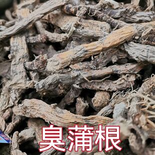 野生菖蒲干货水菖蒲老根泥臭蒲草根新鲜水菖蒲草根水剑草水菖蒲