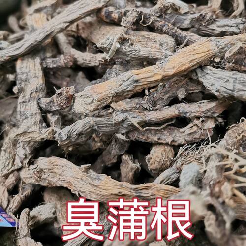 野生菖蒲干货水菖蒲老根泥臭蒲草根新鲜水菖蒲草根水剑草水菖蒲