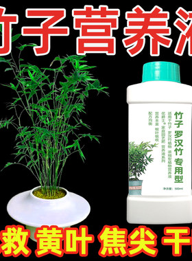 竹子专用营养液内门竹红观音竹佛肚竹罗汉竹水培米竹簕竹黄叶肥料