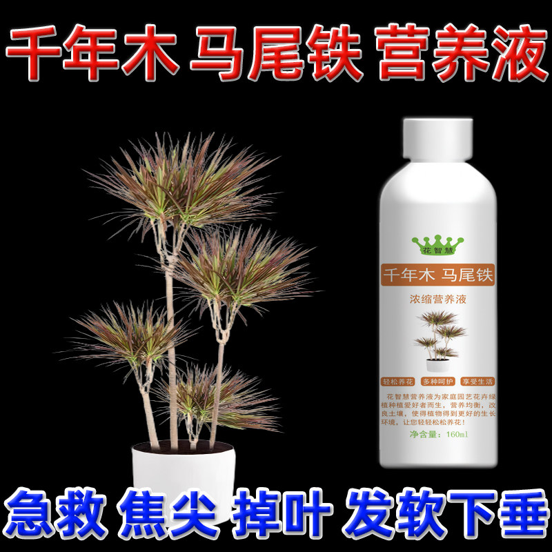 千年木叶尖卷发黄干枯专用营养液无机肥