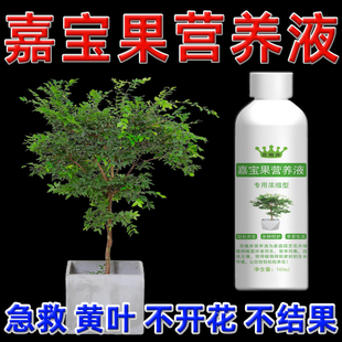 花植库嘉宝果营养液催花剂树葡萄肥料磷钾肥促花肥沙巴嘉宝果挂果