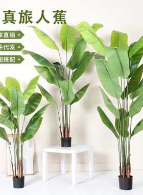仿真植物旅人蕉假绿植盆栽大型家居室内客厅落地装饰摆件橱窗