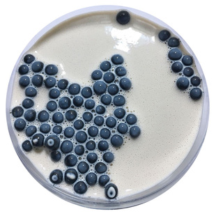 珍珠奶茶起泡胶史莱姆成品仙气水晶泥少女外网声控爆炸戳戳解压泥