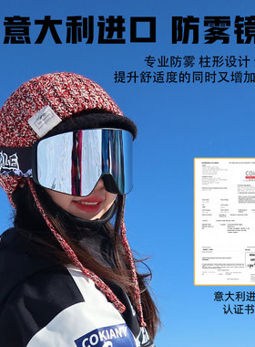 鲸鱼WHALE磁吸滑雪镜增光双镜片柱面双层防雾磁吸男女滑雪眼镜