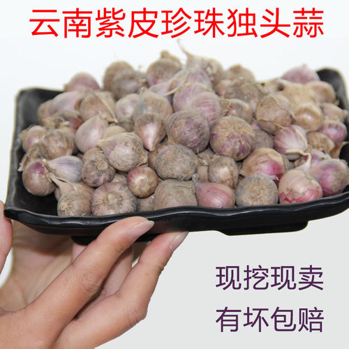 鲜蒜云南独头蒜云南紫皮