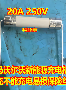 20A 250V 6*32  宝马沃尔沃新能源慢充不能充电易损陶瓷保险丝
