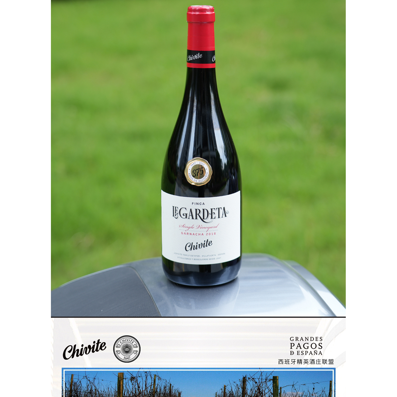 西班牙原瓶原装进口Ghivite歌海娜陈酿干红葡萄酒纳瓦拉法定产区7