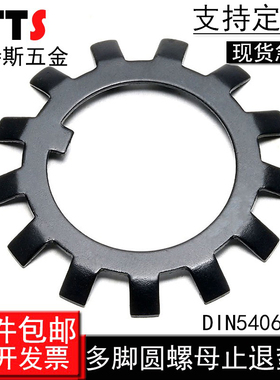 德标DIN5406多脚圆螺母用止退垫圈止动垫片多齿止退挡圈锁紧垫圈