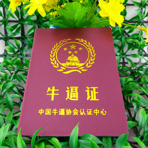 牛逼证好宝宝证小仙女闺蜜证