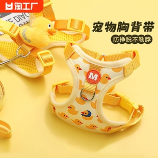 泰迪猫咪小狗狗遛狗绳子牵引绳狗链子小型外出胸背带自动伸缩工字