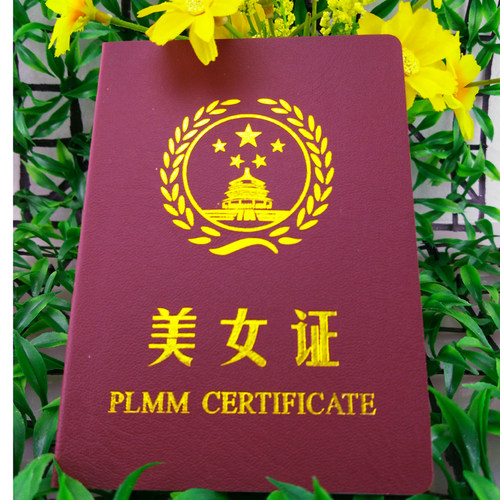 搞笑证书美女证生日礼物生日礼物
