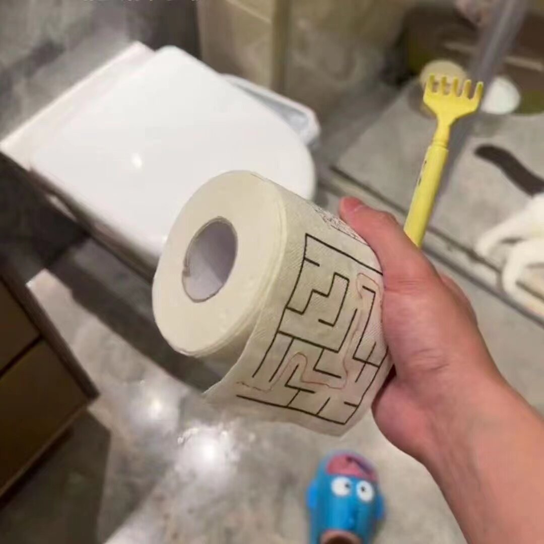迷宫卫生纸纸巾厕纸学霸纸巾背单词英文印花卷纸初中英语单词卷纸