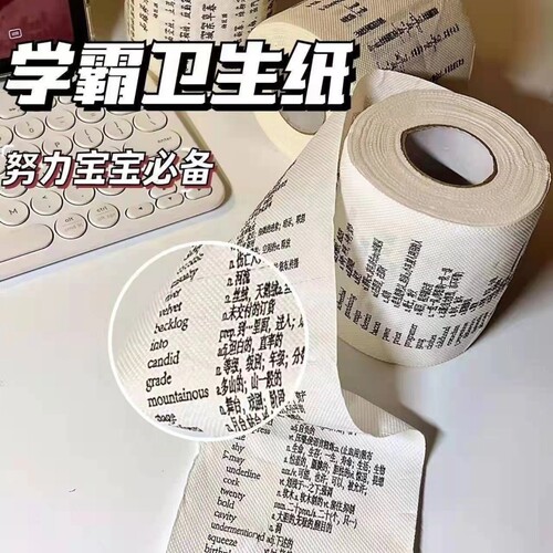 学霸卫生纸古诗词英语单词印字卷纸创意厕纸印花初高中生专用纸巾