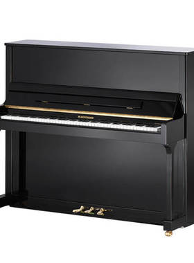 C．BECHSTEIN贝希斯坦W.Hoffmann 霍夫曼钢琴 T128 高端立式钢琴