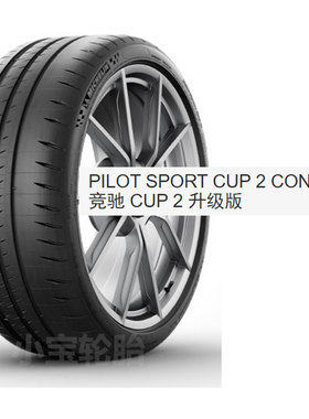 米其林265/35R19 Cup 2 升级版 ZR 98Y * DT1 Connect 半热熔轮胎