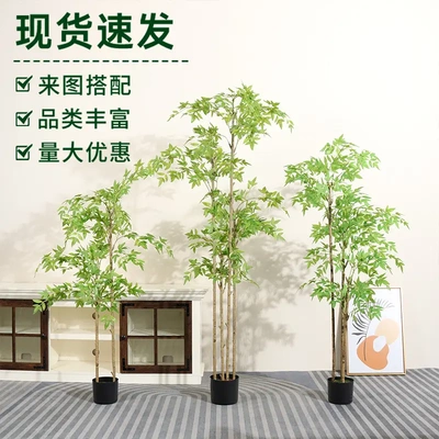 仿真新款南天竹高端轻奢仿真绿植盆栽室内高级感仿真植物装饰摆件