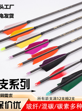 弓箭支一打新手练习玻纤混碳纯碳反曲复合传统射击可换头真羽箭矢