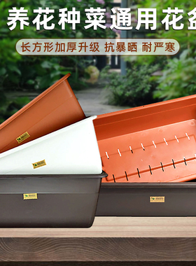 台湾翠筠阳台种菜盆长方形花盆花槽树脂塑料特大号种植箱种菜神器
