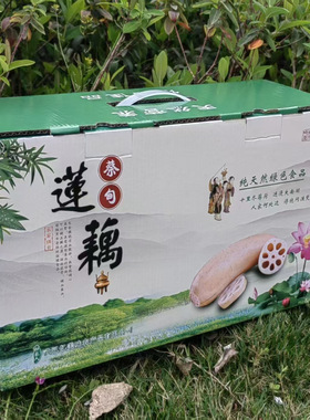 湖北特产蔡甸莲藕绿色新鲜带泥粉藕原产地武汉蔡甸莲藕煲汤粉藕