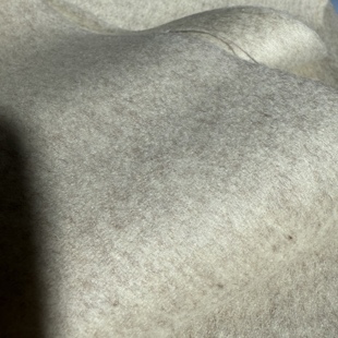 30%澳绒60%羊毛10%真丝 54号燕麦灰双面羊绒面料 850g