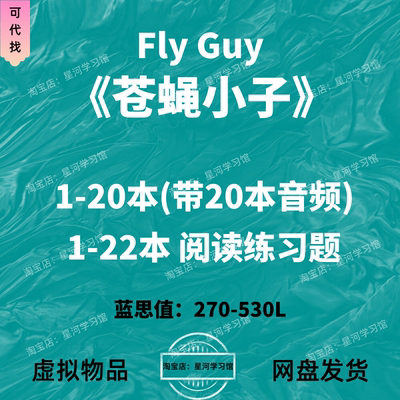 苍蝇小子Fly Guy英文版音频听力英语磨耳朵电子阅读练习题册