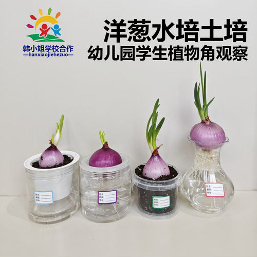 幼儿园小学观察自然角