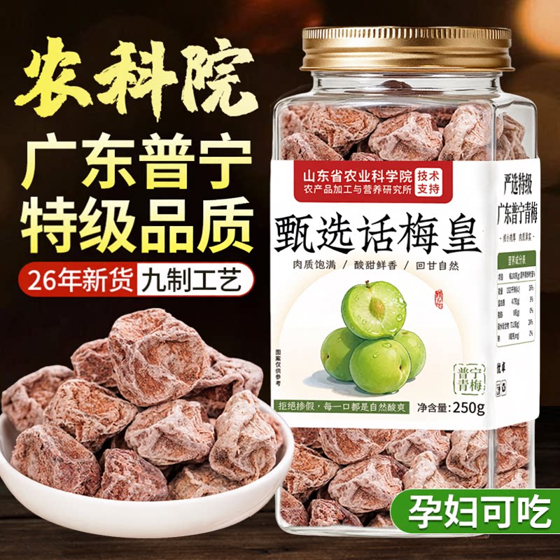 特级话梅正宗九制话梅皇旗舰店大零食干官方酸孕妇零食泡水泡酒