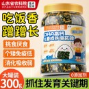 海苔拌饭碎肉松儿童料幼儿宝宝无添加饭团商用芝麻官方旗舰店专用