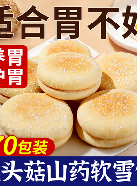 山药软雪饼适合中老年人吃的养健康小零食胃食品早餐大全各种美食