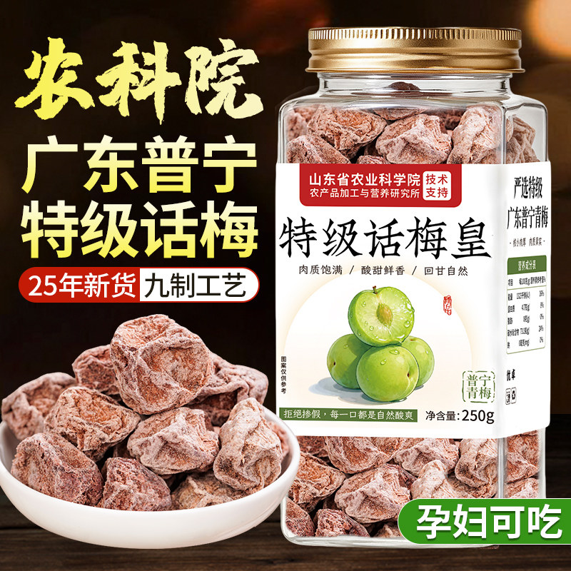 特级话梅正宗九制话梅皇官方旗舰店老字号大零食干酸孕妇零食洱宝