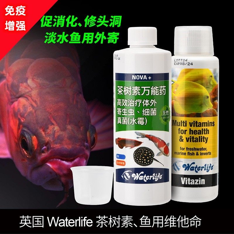 英国waterlife茶树素立鳞水霉蒙眼外寄细菌性感染检疫免疫维他命