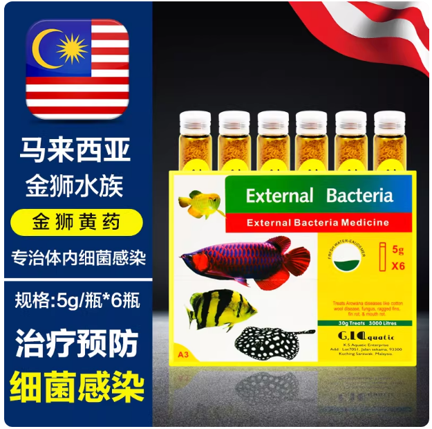 马来西亚金狮黄粉虎鱼龙鱼罗汉发财金鱼蒙眼烂肉水霉黄药日本黄粉