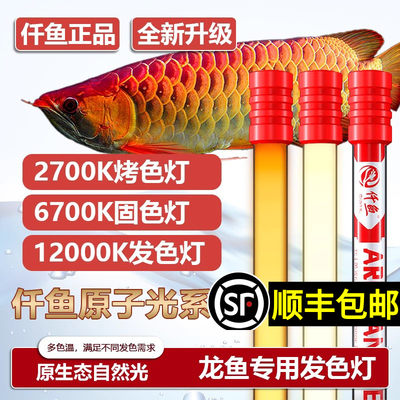 金龙红龙鱼专用诱发色灯烤色灯nec鱼缸灯三基色T5潜水灯管全光谱