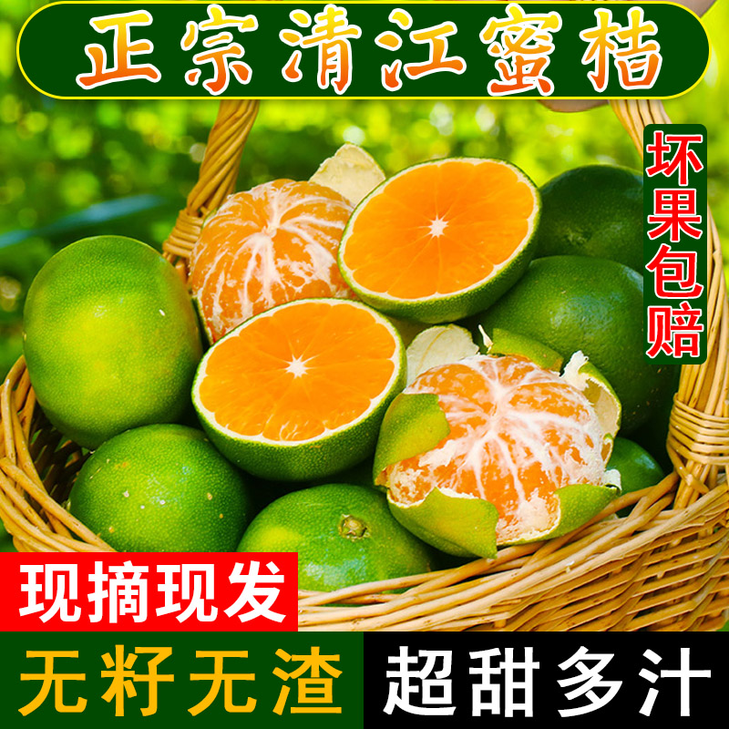 清江蜜橘橘子新鲜水果超甜桔子