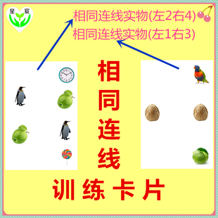 相同连线实物 自闭症 发育迟缓 孤独症 特教教具 干预训练卡片