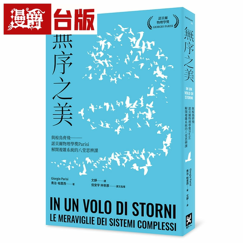 漫爵无序之美：与椋鸟齐飞【诺贝尔物理学奖Parisi解开复杂系统的