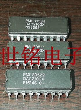 DAC210GX 实体店现货经营进口元器件IC