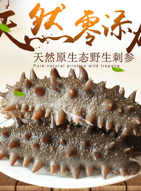 大连海参干货500g  纯淡干深海底播辽刺参礼盒装70-80头批发