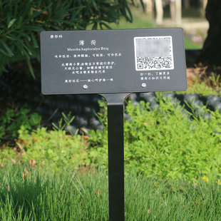 户外花草牌不锈钢二维码提示牌定制园林绿化带花名标识指示标示牌