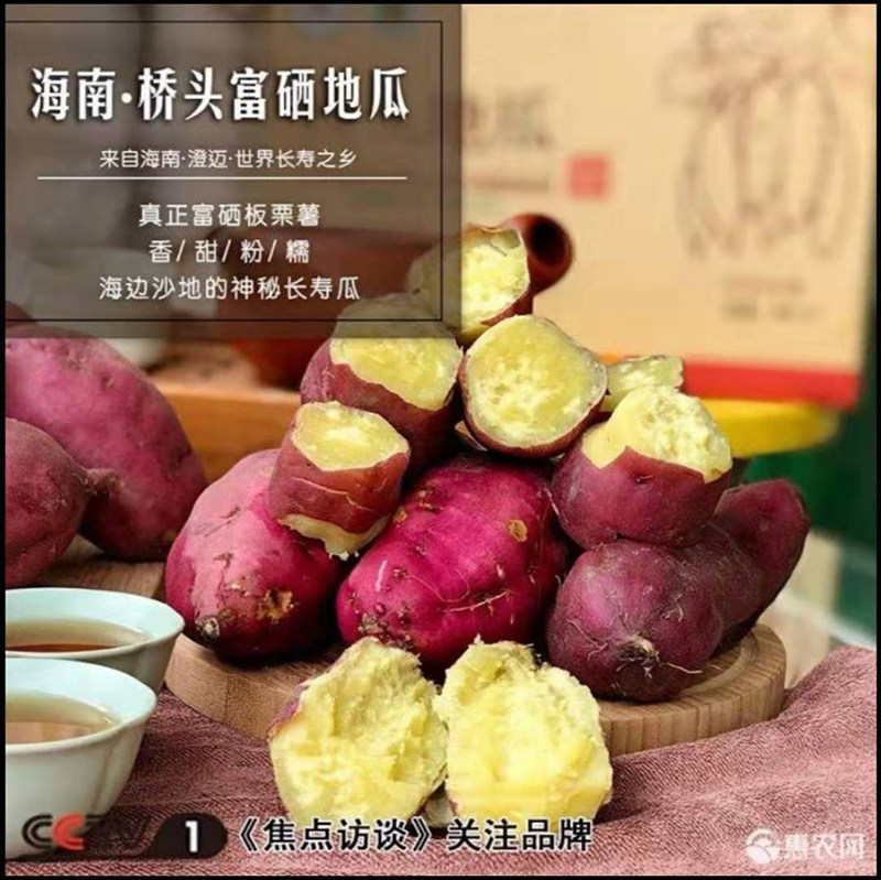 海南特产澄迈桥头富硒地瓜香甜粉糯新鲜农家自种番薯黄心板栗红薯