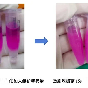 RN66-RNA提取辅助试剂（氯仿替代物）